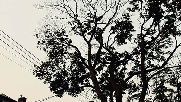 Sauga City's J Shiltz & Royce Birth release new album as The Outsiders