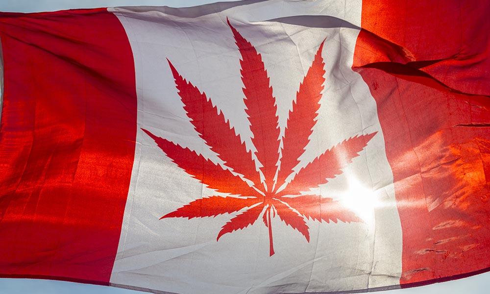 Stay Woke: Cannabis Act hits the Senate + weed-inspired anthems
