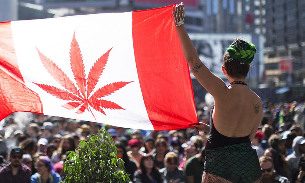 Stay Woke: Cannabis Act hits the Senate + weed-inspired anthems