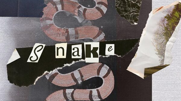 YL Vision releases the Gucci Snake single