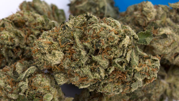 Recreational marijuana will be legal in Canada on October 17