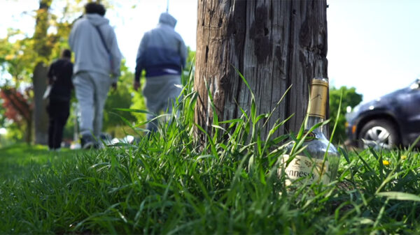 Purple links up with LV for the summer anthem Wanna Ball