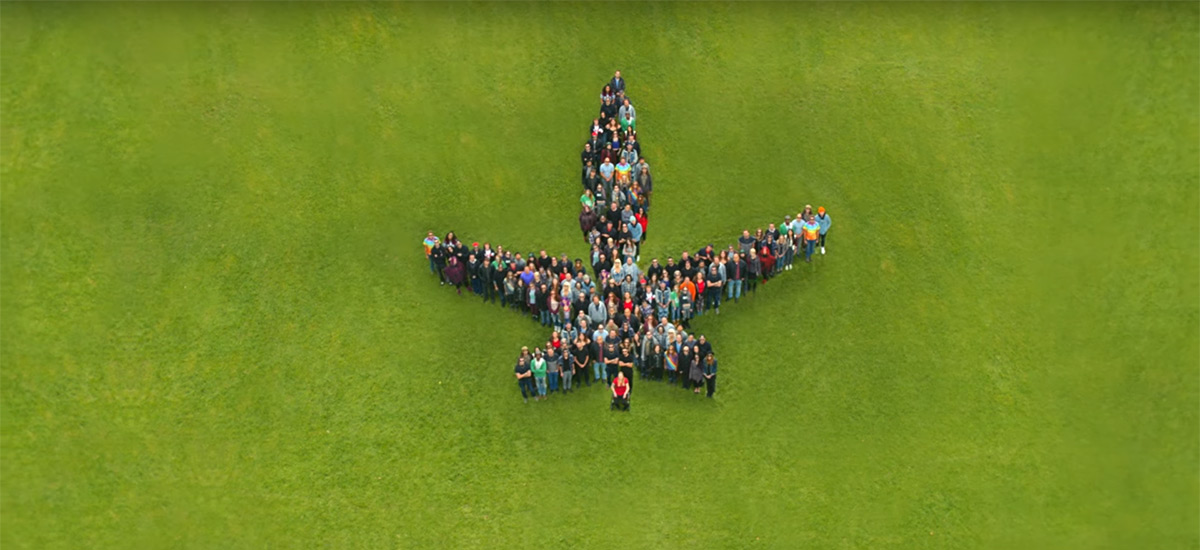 Classified celebrates Legal Marijuana with new video