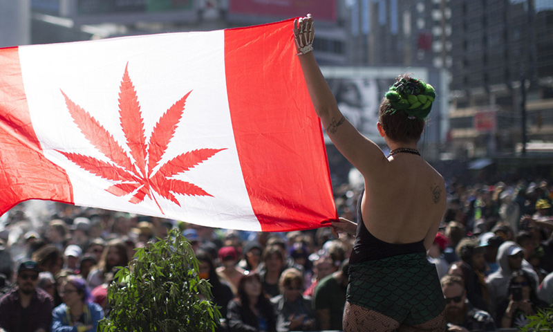Because we got high: did hip-hop culture help drive legalization?