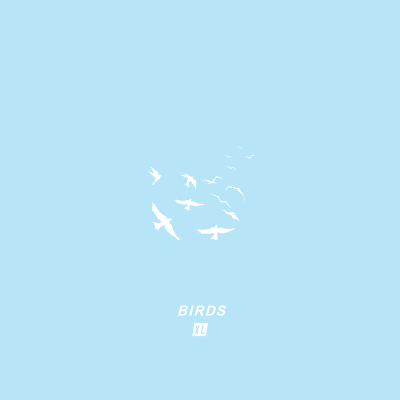 XL The Band releases new Birds single