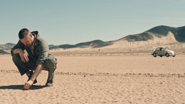 Montréal artist Matthew Chaim enlists Leo Zuckerman to direct Sunflowers video