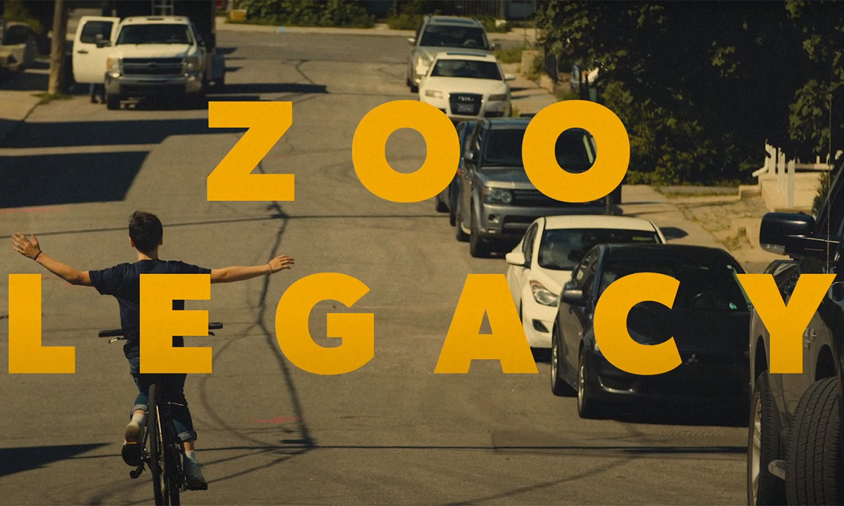 Scene from the Lost on Purpose video by Zoo Legacy