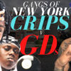 Trap Lore Ross on the Deadly Gang War in New York City - Crips v GDs