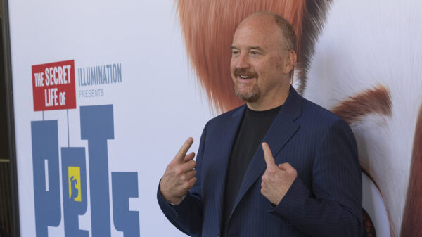 In 2017, Louis C.K. fell from grace after he was accused of sexual misconduct. (Shutterstock)