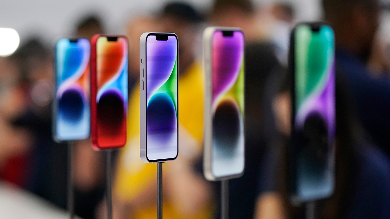 Several iPhone device types on display