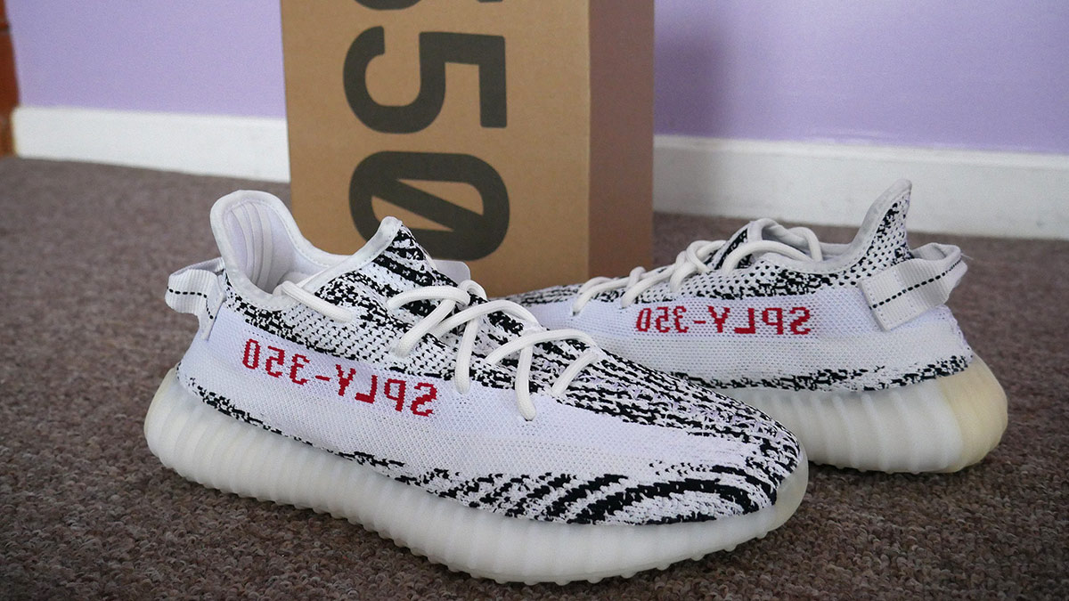 A pair of zebra striped shoes sit next to a shoebox