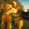 Scene from the DOGTOOTH video by Tyler, The Creator