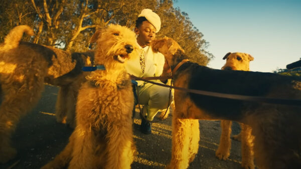 Scene from the DOGTOOTH video by Tyler, The Creator