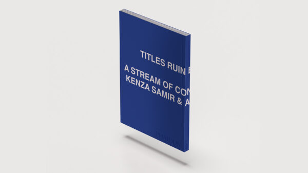 TITLES RUIN EVERYTHING book cover