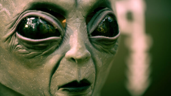 A closeup of an alien's face with large dark eyes