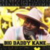 Big Daddy Kane on Drink Champs