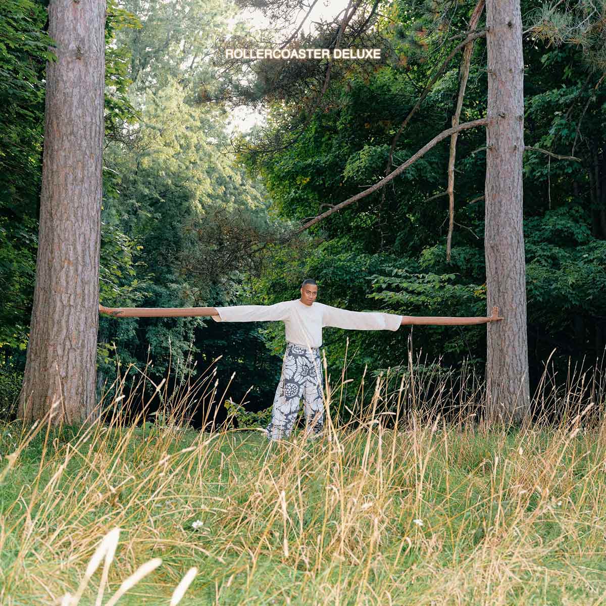 Artwork for Rollercoaster (Deluxe) by Cadence Weapon.