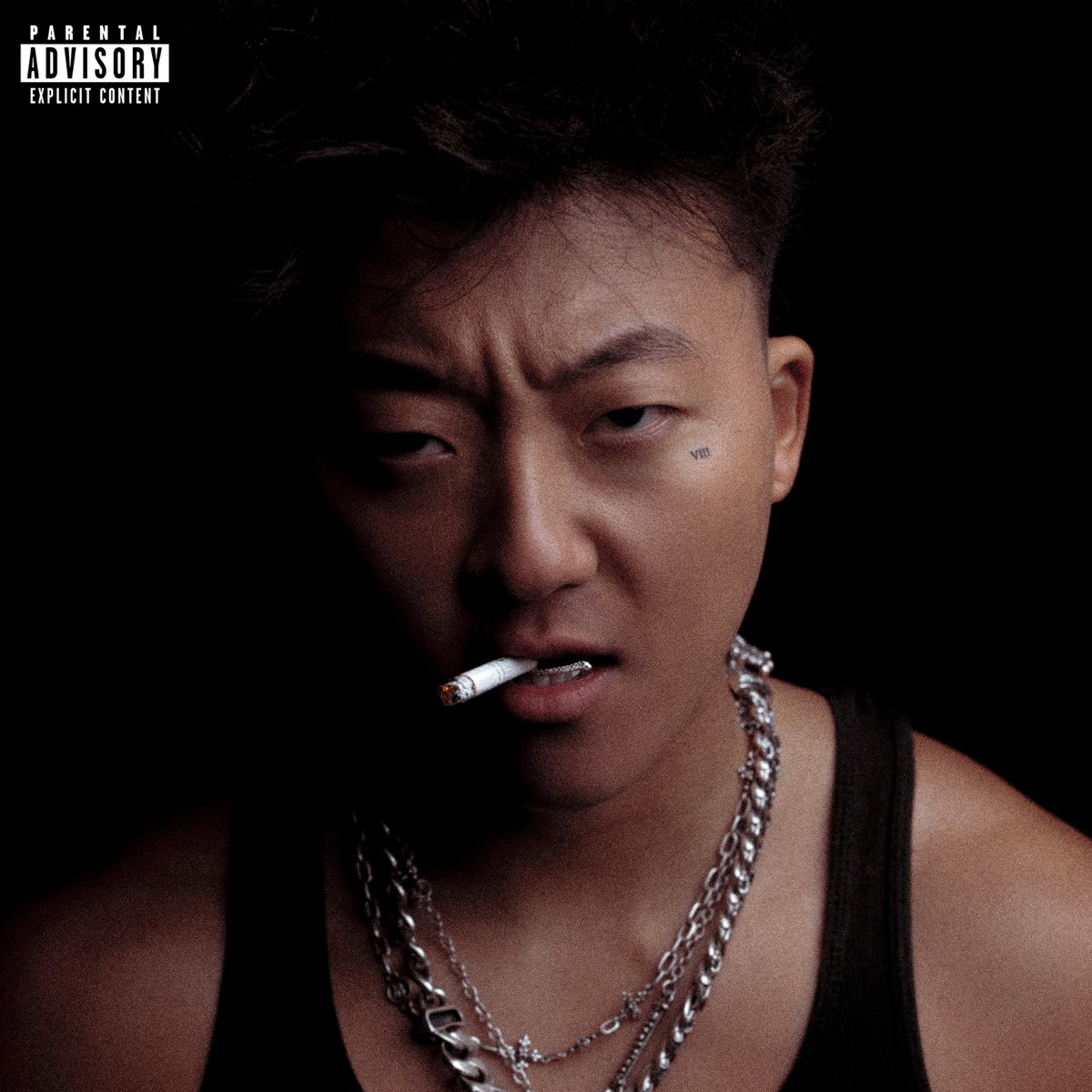 Eric Reprid is seen smoking a cigarette on the artwork for the F You mixtape.