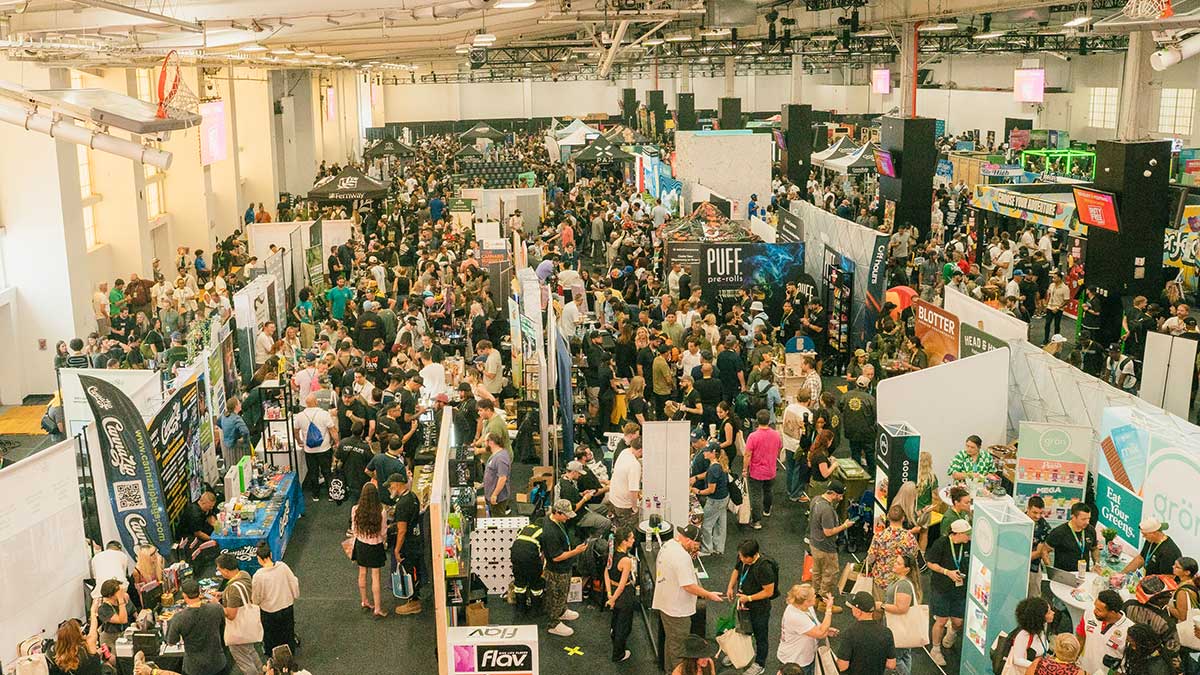 An aerial view of the Revelry Cannabis Festival which took place in New York City.